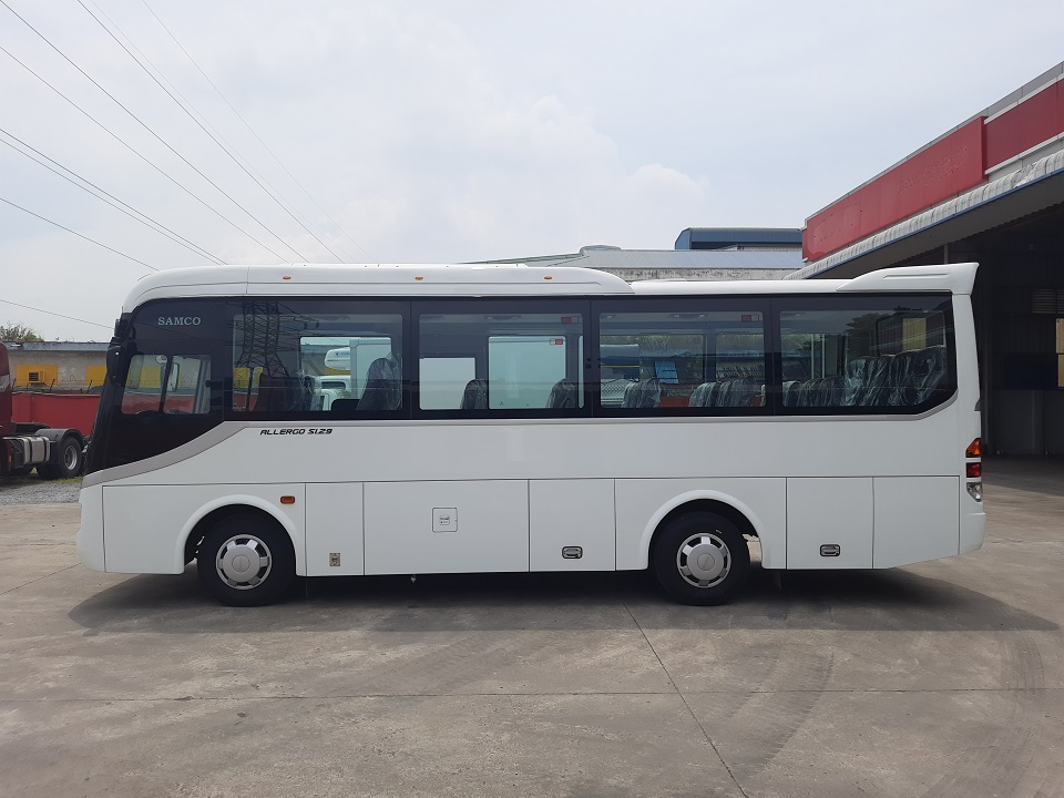 dai dien 29 cho